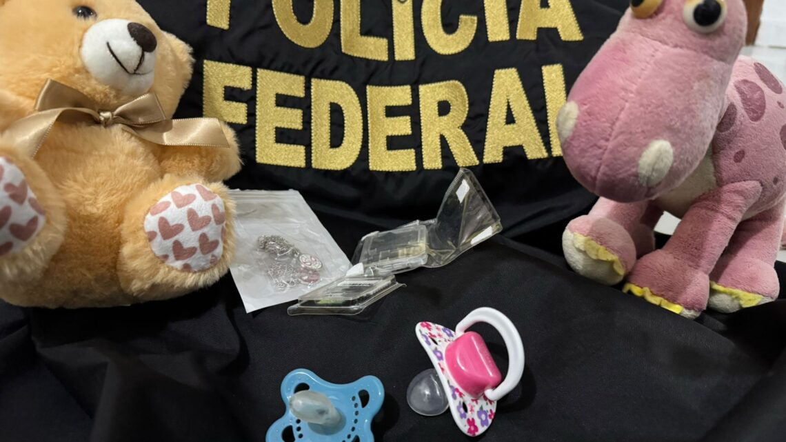 PF prende homem por armazenar material relacionado a abuso sexual infantojuvenil em Blumenau SC PF prende homem por armazenar material relacionado a abuso sexual infantojuvenil em Blumenau SC