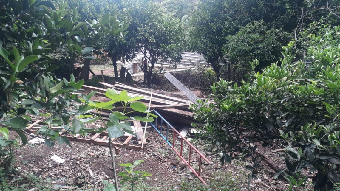 Prefeitura de Chapecó impede invasões de áreas públicas Prefeitura de Chapecó impede invasões de áreas públicas