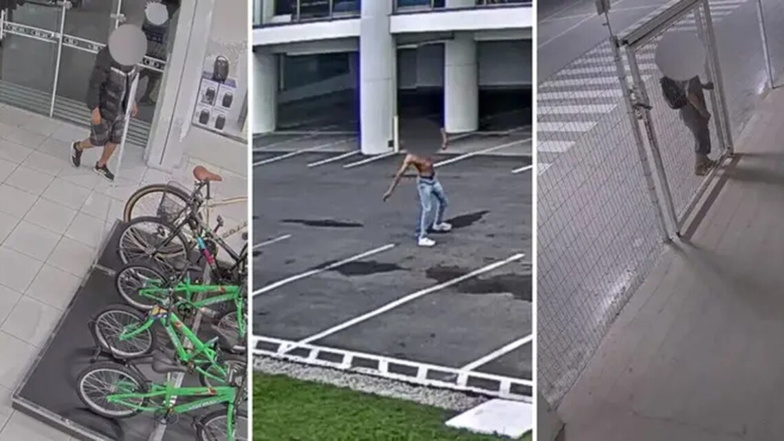 Depois de Justiça proibir vídeos de criminosos, Havan registra recorde de furtos Depois de Justiça proibir vídeos de criminosos, Havan registra recorde de furtos