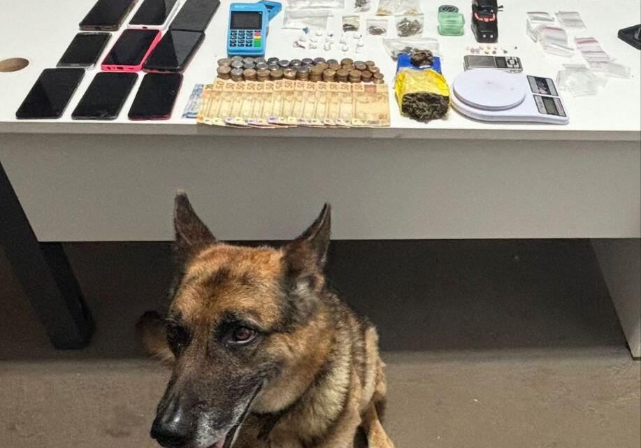 Mulher é presa e adolescente apreendido por tráfico de drogas no bairro Maria Goretti em Chapecó