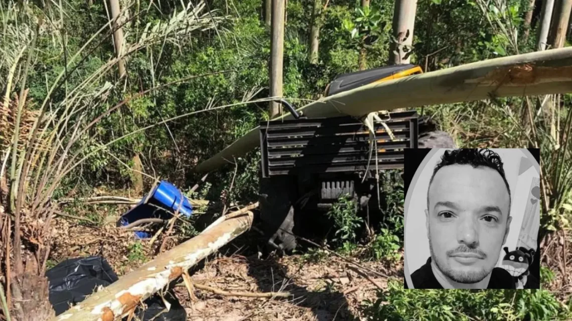 Trabalhador morre após ser prensado por árvore em SC