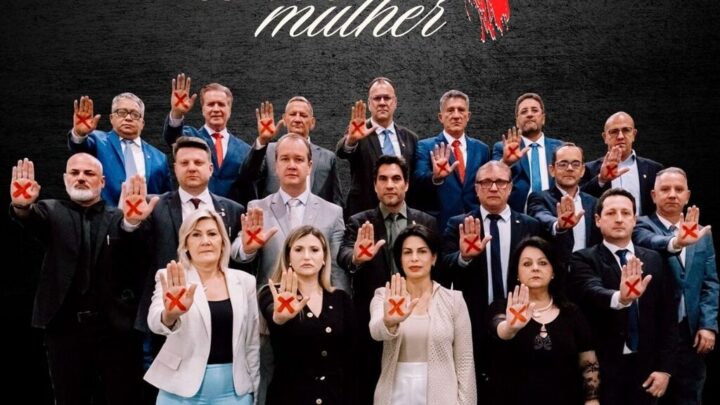 Câmara de Chapecó reforça compromisso pelo fim da violência contra a mulher