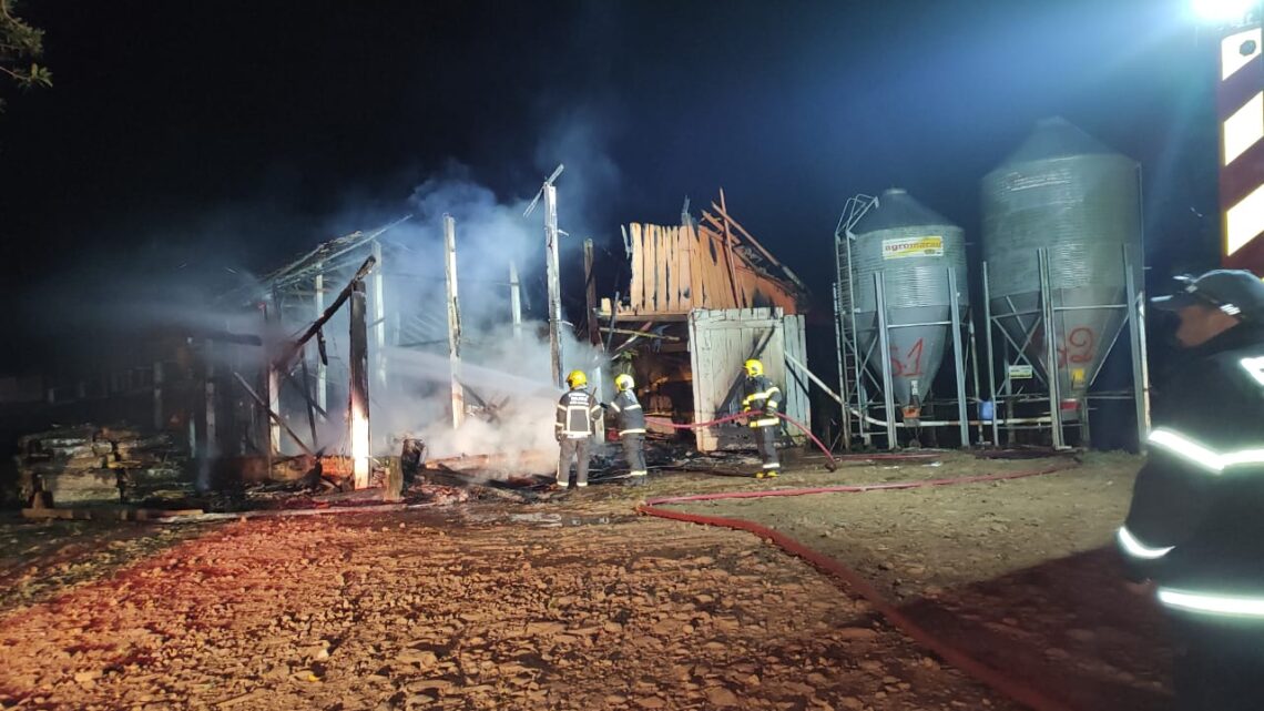Incêndio atinge aviário de 1.200 m² em Nova Itaberaba durante a madrugada