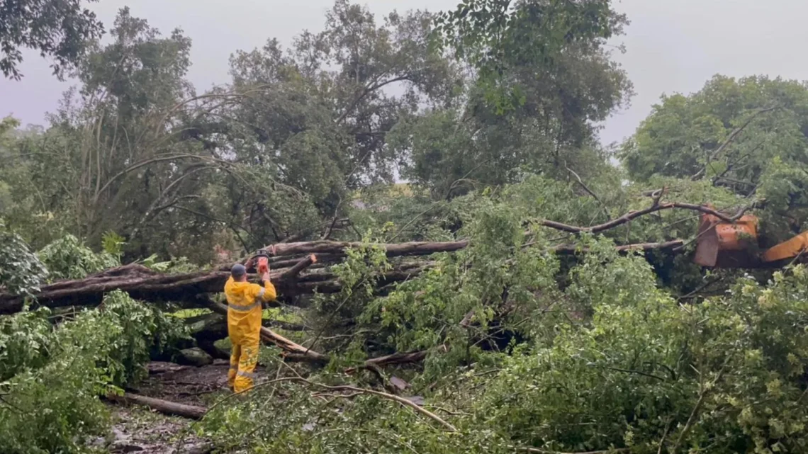Fortes ventos e chuvas mobilizam bombeiros em 53 municípios de SC