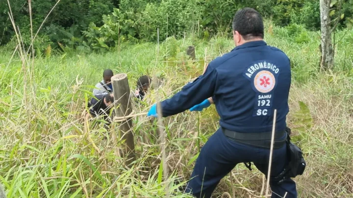 Trabalhador morre após ser picado por inseto em SC
