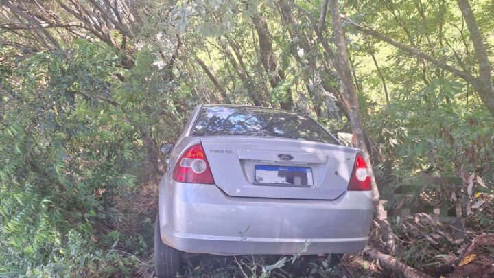 Motorista sai da pista e colide em placa de sinalização em Novo Horizonte