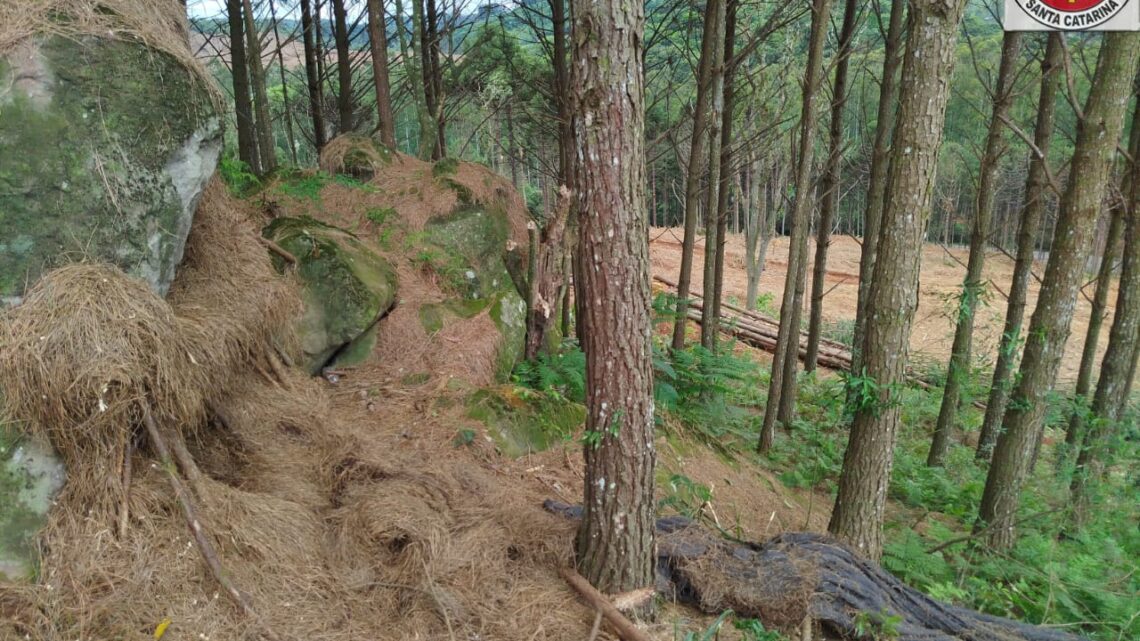 Corpo em decomposição é encontrado em área rural de Rio das Antas