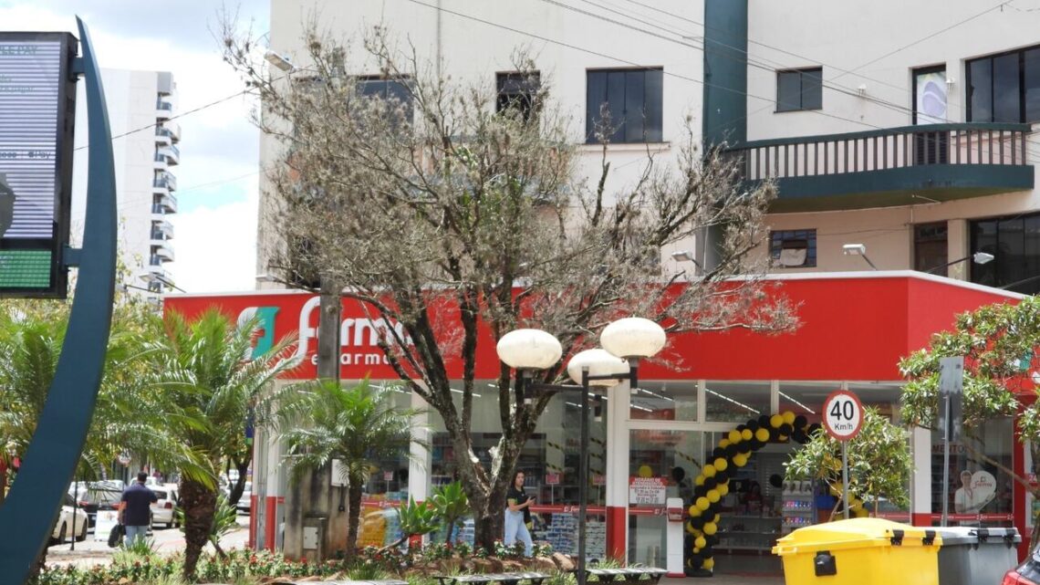 Prefeitura de Xanxerê irá remover árvore envenenada de praça e realizar novo plantio