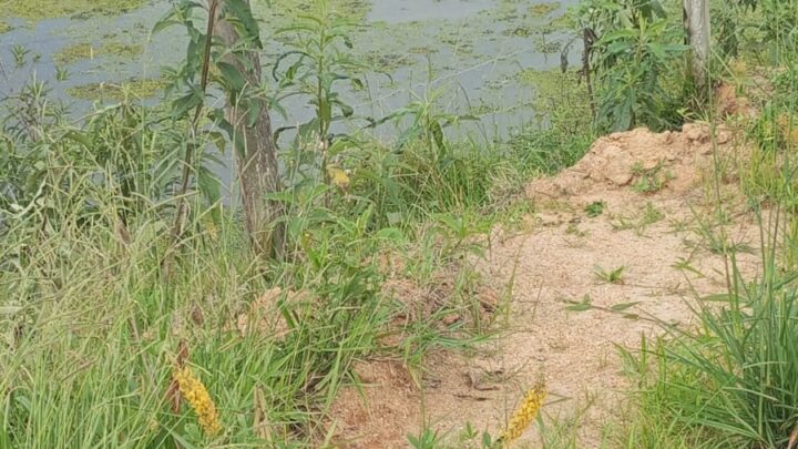 Mãe e filha são resgatadas de cima de veículo submerso após saída de pista em SC