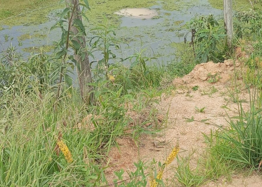 Mãe e filha são resgatadas de cima de veículo submerso após saída de pista em SC