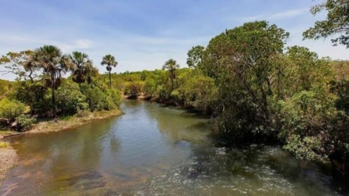 Idoso morre após ser arrastado por correnteza em rio de SC