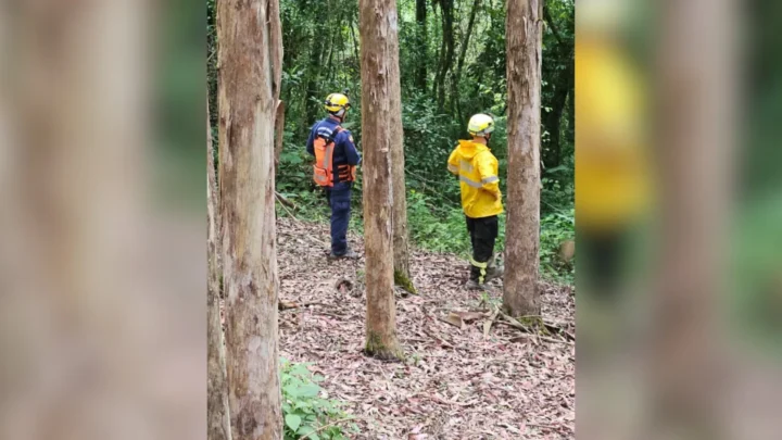Homem desaparece e bombeiros intensificam buscas no Norte de SC