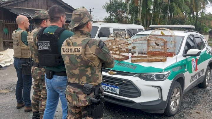 Polícia Militar e Gaeco deflagram operação de combate a crimes contra a fauna Polícia Militar e Gaeco deflagram operação de combate a crimes contra a fauna