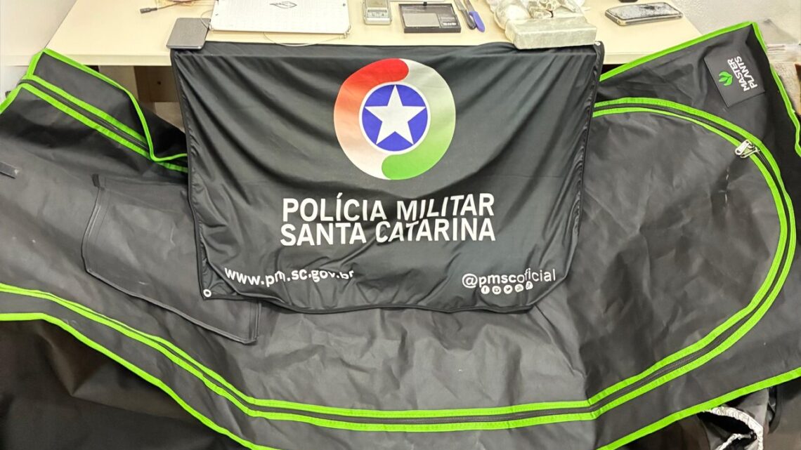Polícia encontra estufa com cultivo de maconha em residência em Concórdia