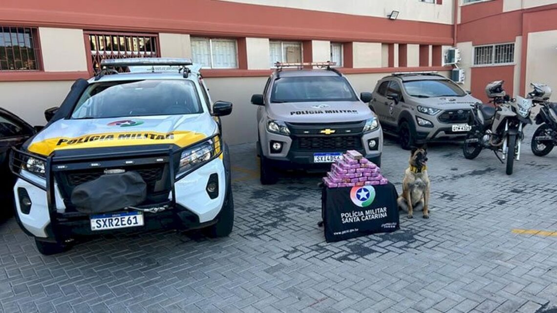 Passageiro de ônibus interestadual é preso com 25 kg de maconha em SC