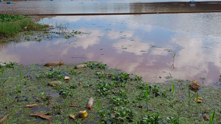Casan realiza mais um mutirão de limpeza do Lajeado São José