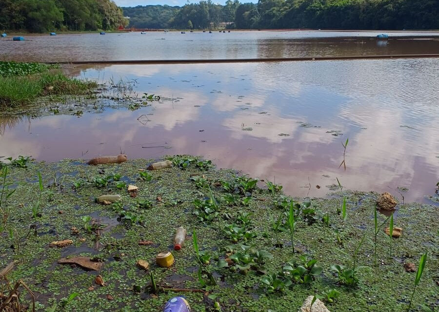 Casan realiza mais um mutirão de limpeza do Lajeado São José