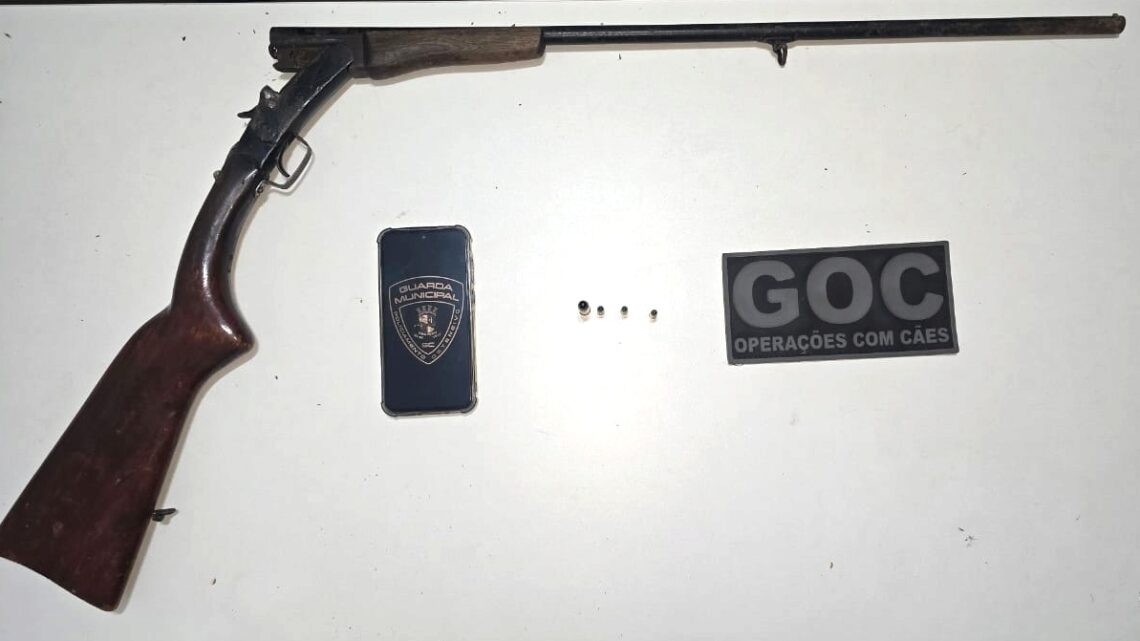 Guarda Municipal de Chapecó detém homem após denúncia de disparos de arma de fogo no interior do município