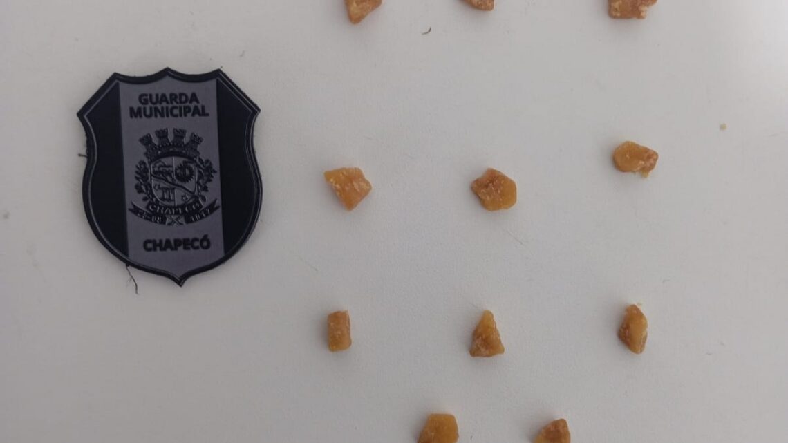 Abordagem da Guarda Municipal termina com apreensão de droga na região leste de Chapecó