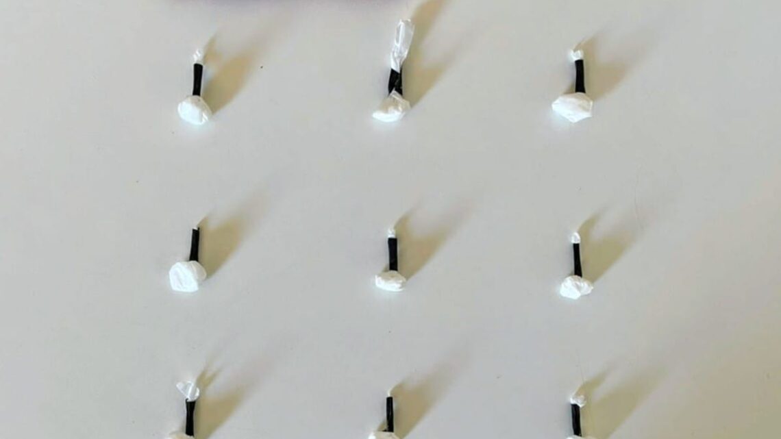 Guarda Municipal de Chapecó apreende drogas e impede fuga em ponto conhecido pelo tráfico