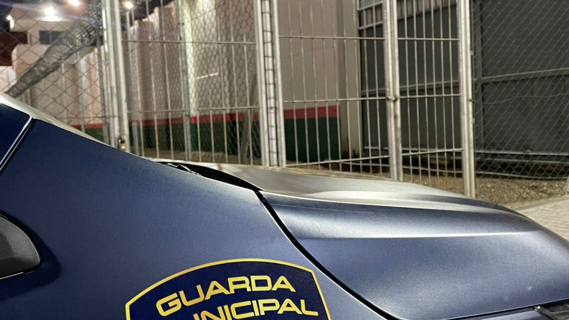 Guarda Municipal prende mulher por descumprir medida protetiva em Chapecó