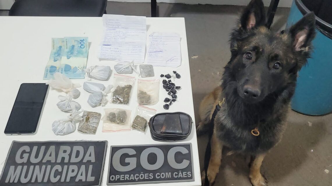 Guarda Municipal apreende drogas e conduz dois suspeitos após abordagem na região oeste de Chapecó