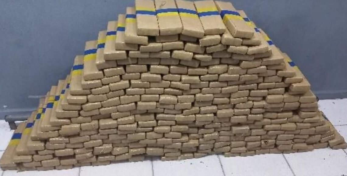 Forças de segurança apreendem cerca de 252 quilos de maconha em SC