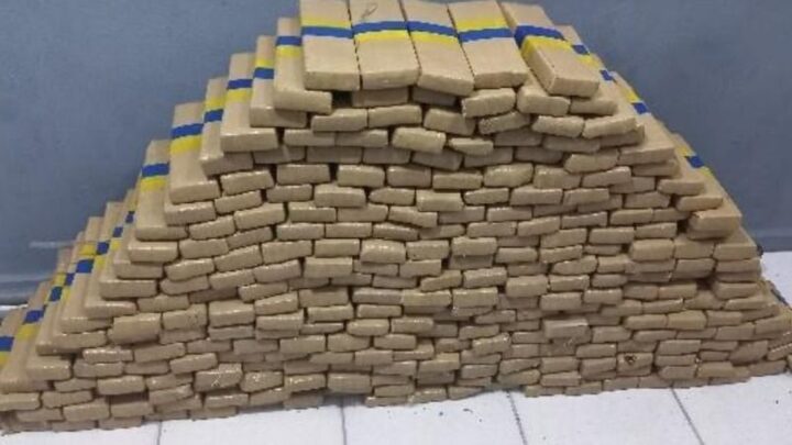 Forças de segurança apreendem cerca de 252 quilos de maconha em SC