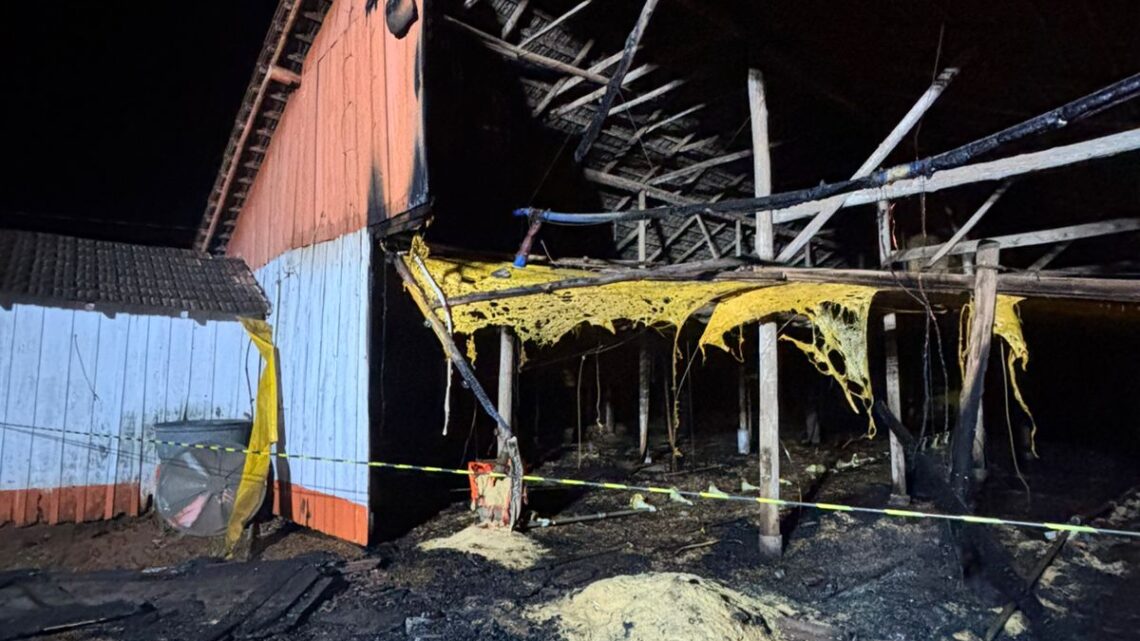 Incêndio atinge aviário durante a madrugada em Saudades; veja o vídeo