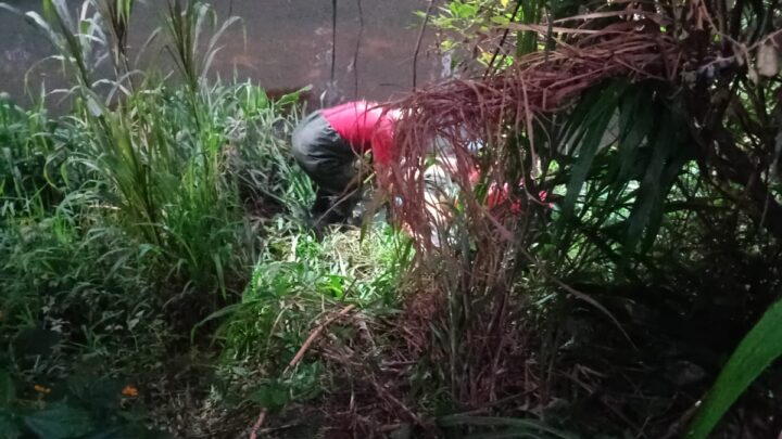 Corpo de mulher é encontrado parcialmente submerso em rio em Cocal do Sul