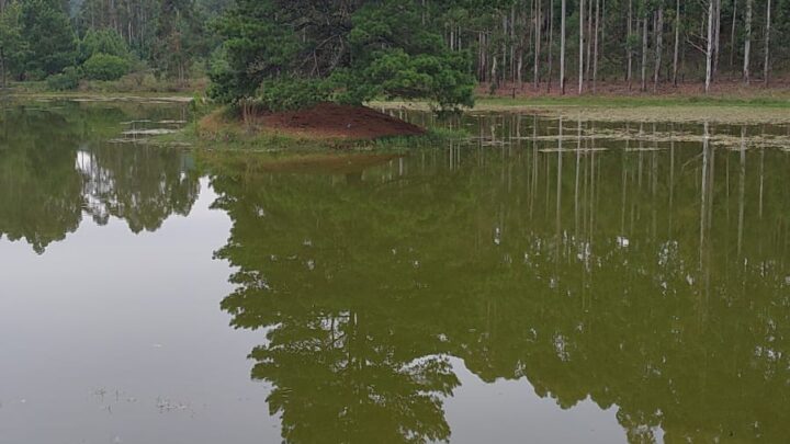 Jovem morre após se afogar em açude na zona rural de Lages