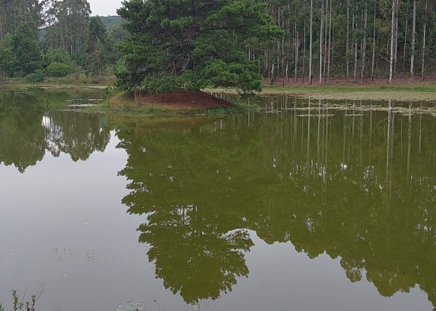 Jovem morre após se afogar em açude na zona rural de Lages