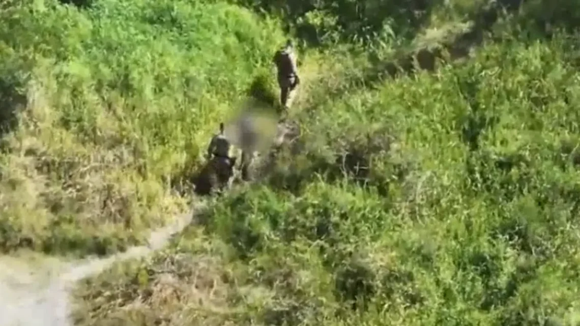 Homem é preso após praticar ato obsceno em trilha de Florianópolis