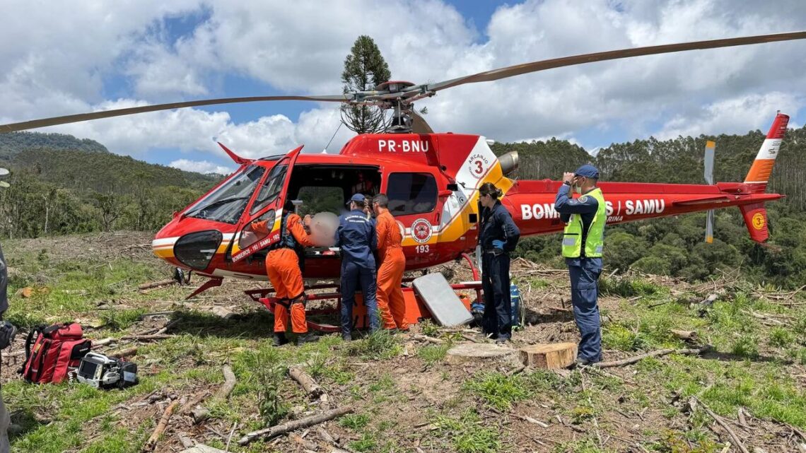 Idoso sofre fratura exposta ao ser atingido por árvore durante trabalho em SC