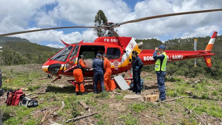 Idoso sofre fratura exposta ao ser atingido por árvore durante trabalho em SC