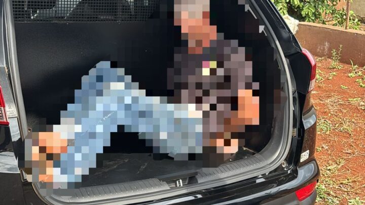 Autor de roubos em Maravilha é identificado e preso pela Polícia Civil; veja o vídeo