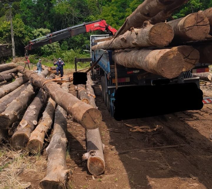 Trabalhador morre após ser atingido por tora de madeira em pátio às margens da BR-158 em Cunha Porã