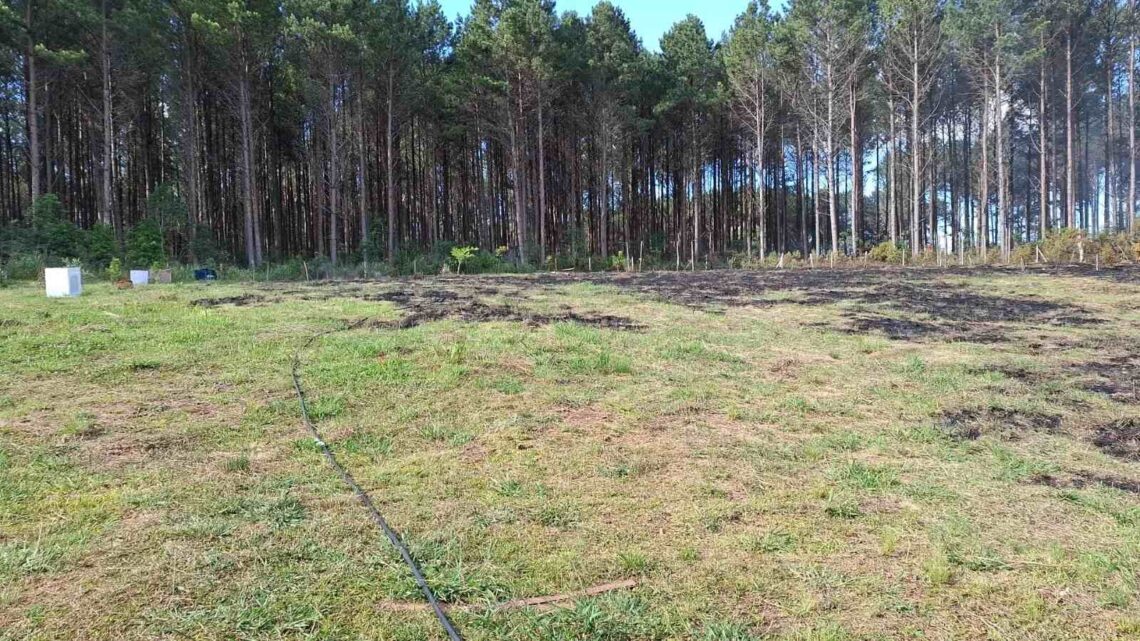 Mulher passa mal e morre enquanto ajudava a combater incêndio em SC