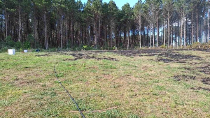 Mulher passa mal e morre enquanto ajudava a combater incêndio em SC