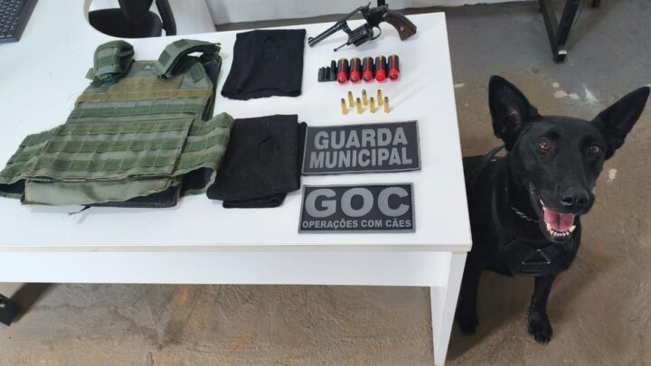 Guarda Municipal apreende veículo furtado, detém masculino com arma e munições em área de mata em Chapecó