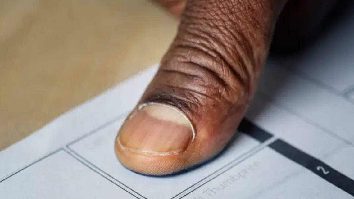 Deputados de SC aprovam fim de cotas raciais em universidades estaduais