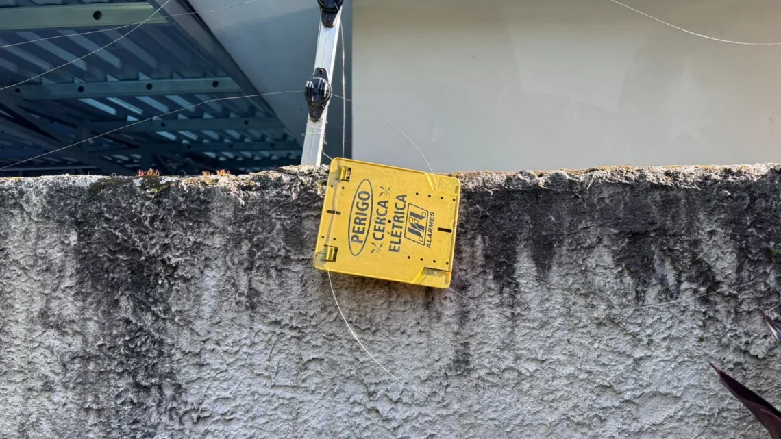 Cachorro morre eletrocutado após cerca elétrica de creche cair em terreno em SC