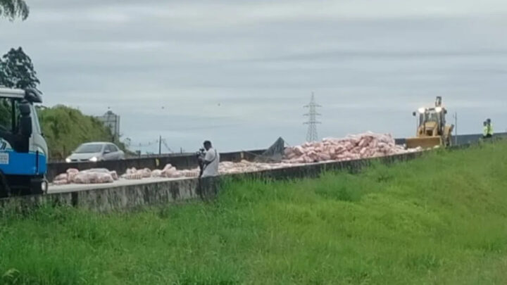 Carreta carregada de arroz tomba sobre viaduto e bloqueia totalmente a BR-101 em SC