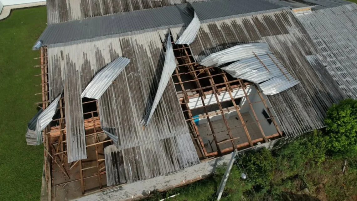 Chuva intensa causa destelhamentos e queda de galhos em cidade de SC; veja imagens