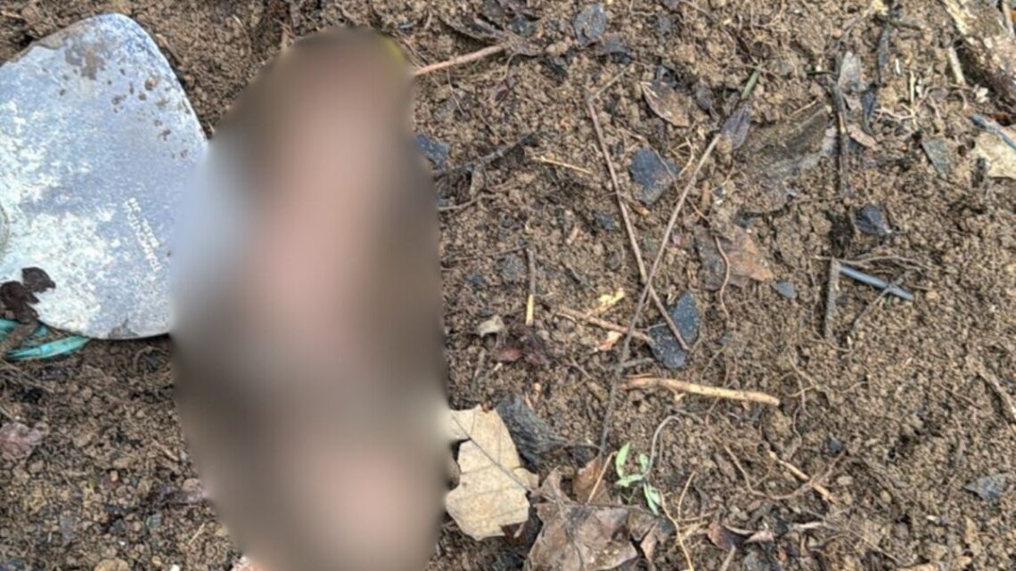 Corpo de homem é encontrado em cova clandestina em Joinville