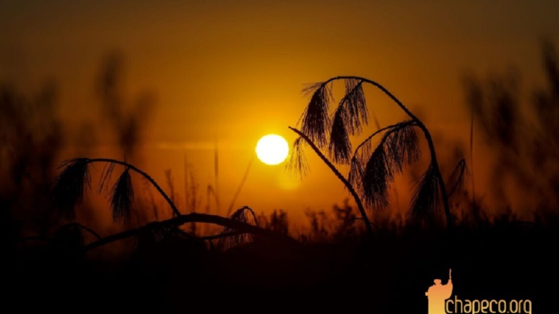 Fim de semana será de sol e tempo firme em Santa Catarina