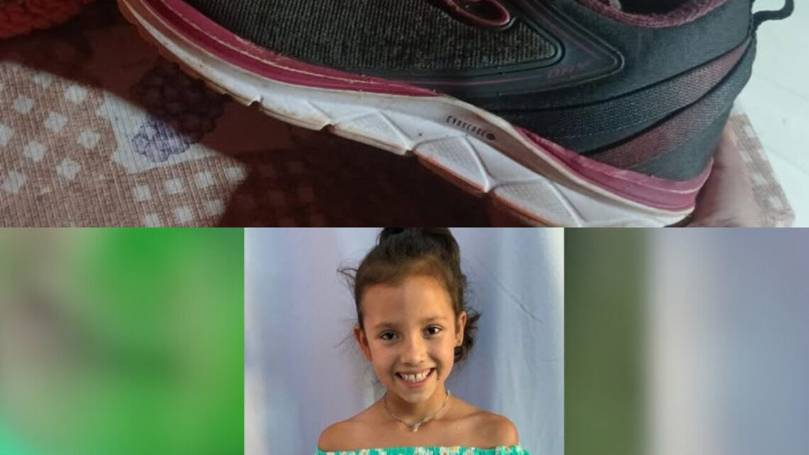 Pai encontra tênis de menina desaparecida no rio Chapecozinho