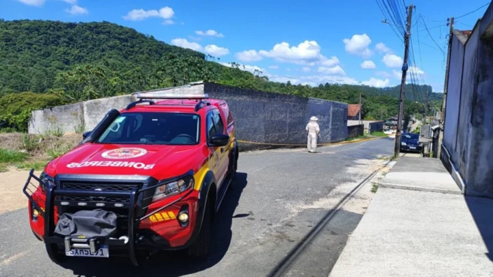 Ataque de abelhas deixa homem ferido durante limpeza de terreno em Gaspar
