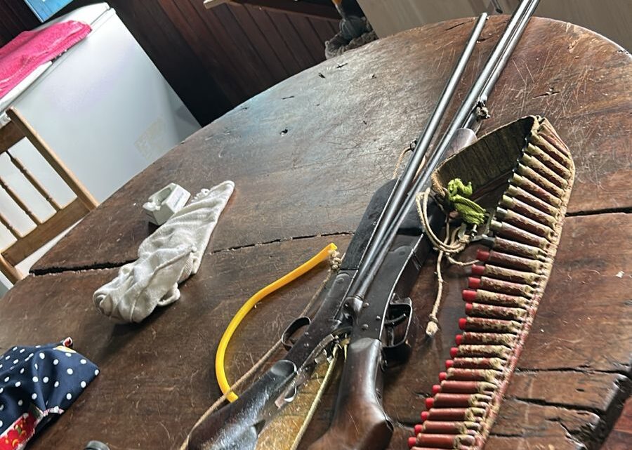 Polícia Civil apreende armas e munições em Riqueza
