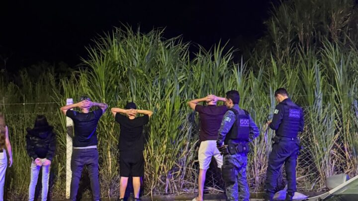 Prefeitura de Chapecó realiza mais uma etapa da Operação Sossego e Ordem